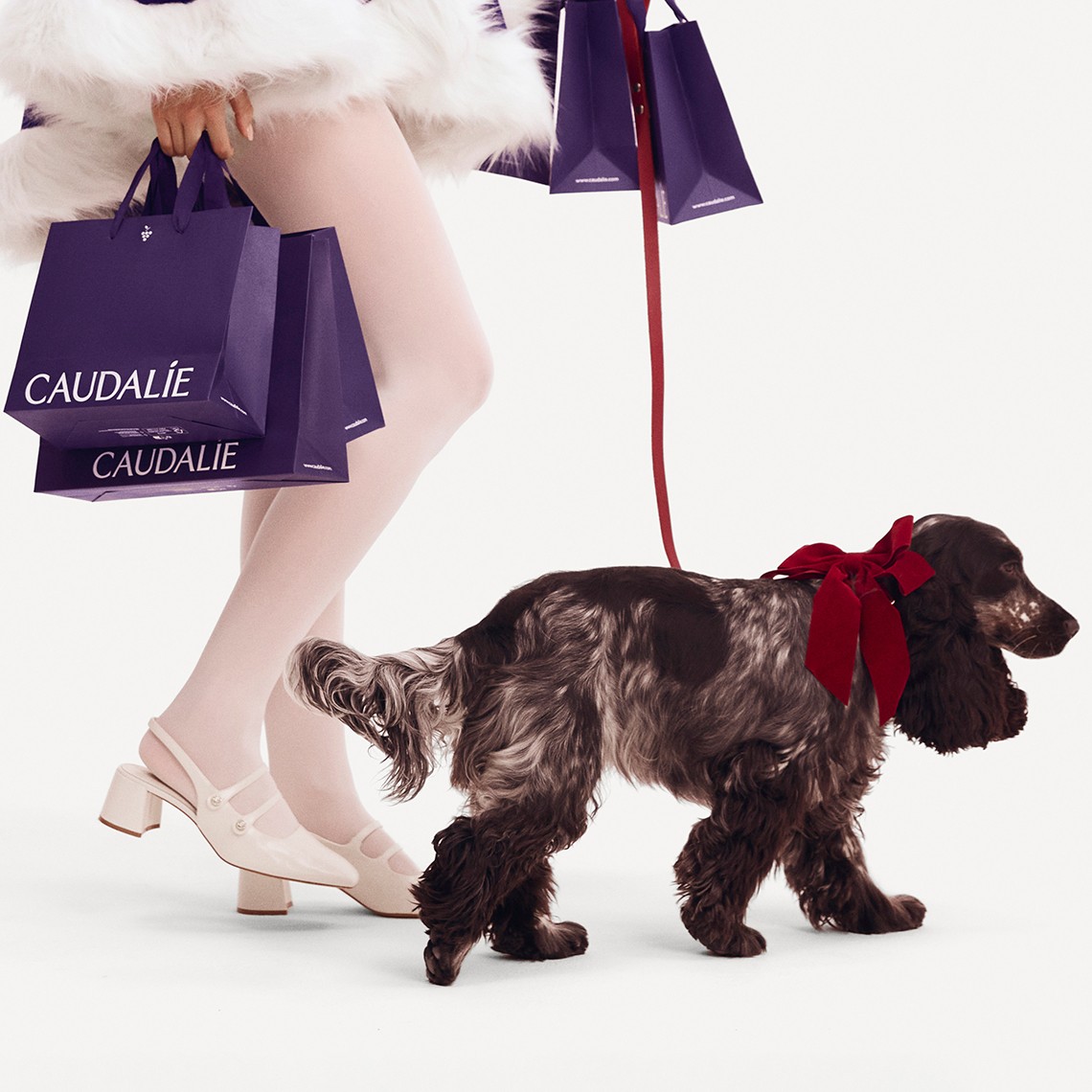 Woman's legs in white tights and heels holding purple Caudalie shopping bags while walking a brown spaniel wearing a red bow on a leash.