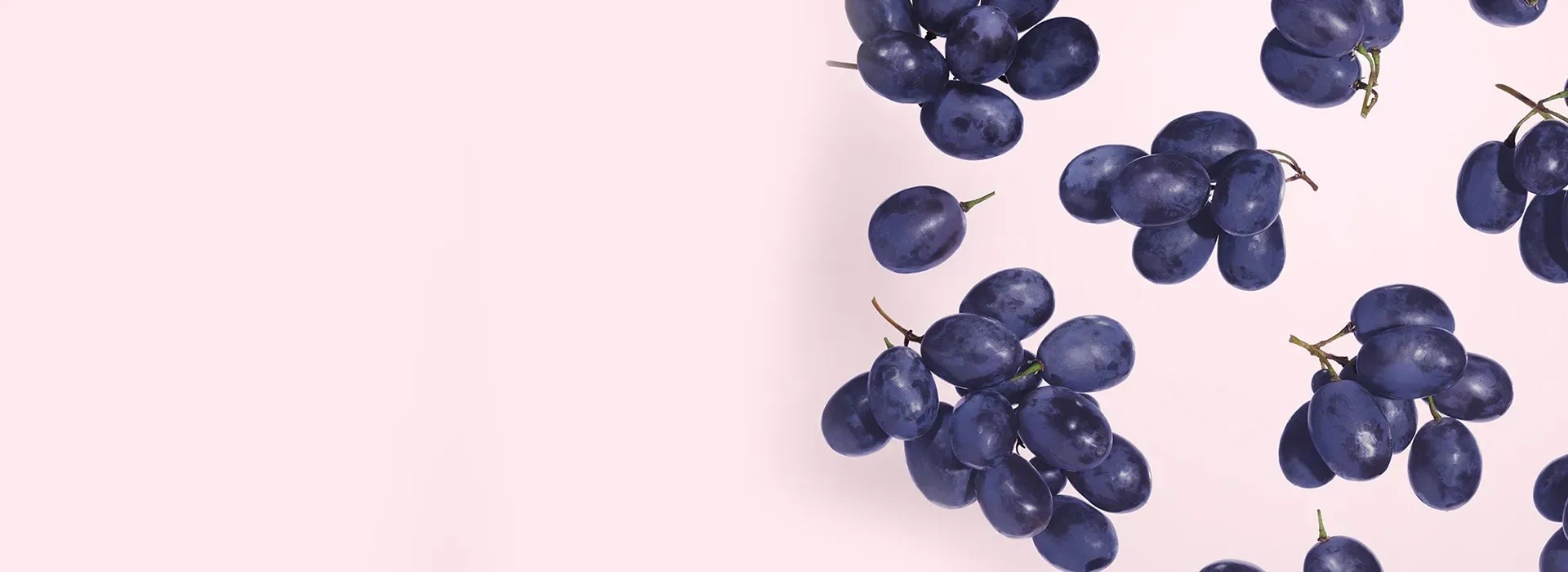 Dark blue grapes with stems scattered on a light pink background.