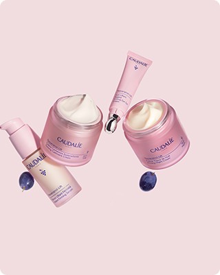 Le Collagène Type 1