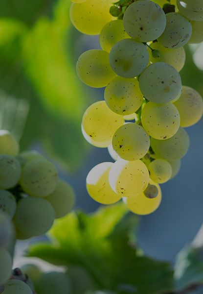 Et pour la planète ?