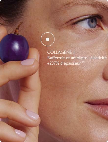 Collagène