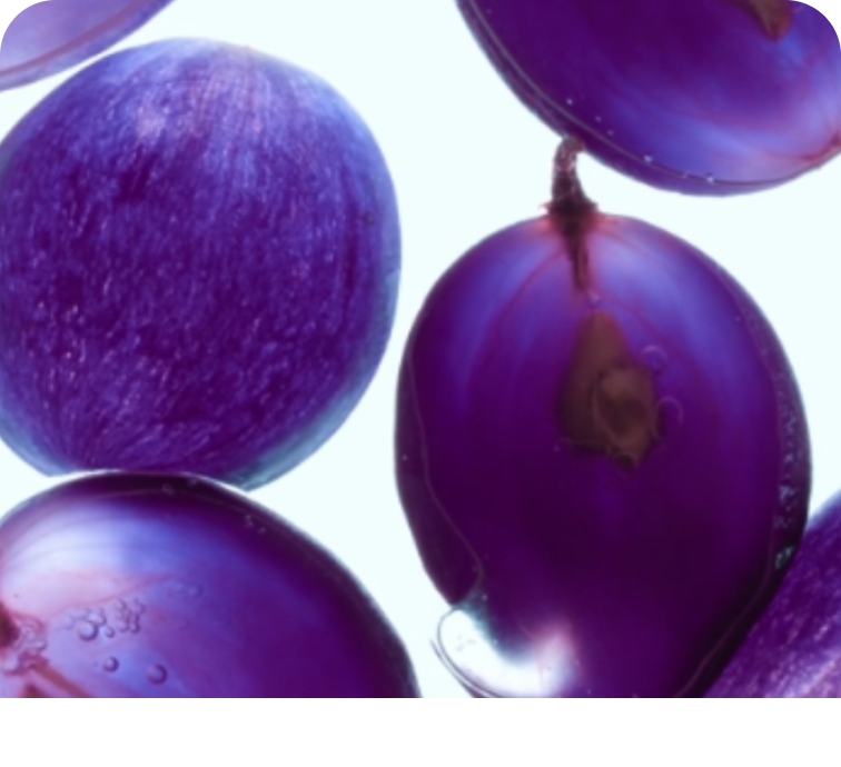 Close-up of several vibrant purple plums against a light background, showcasing their smooth, glossy skins and rich color.