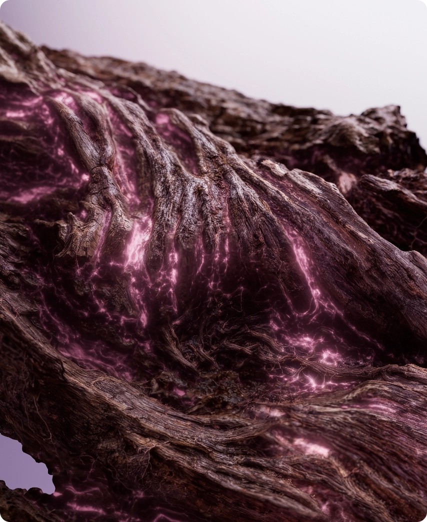 Resveratrol de vigne
